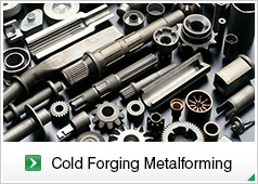 Cold Forging Metalforming